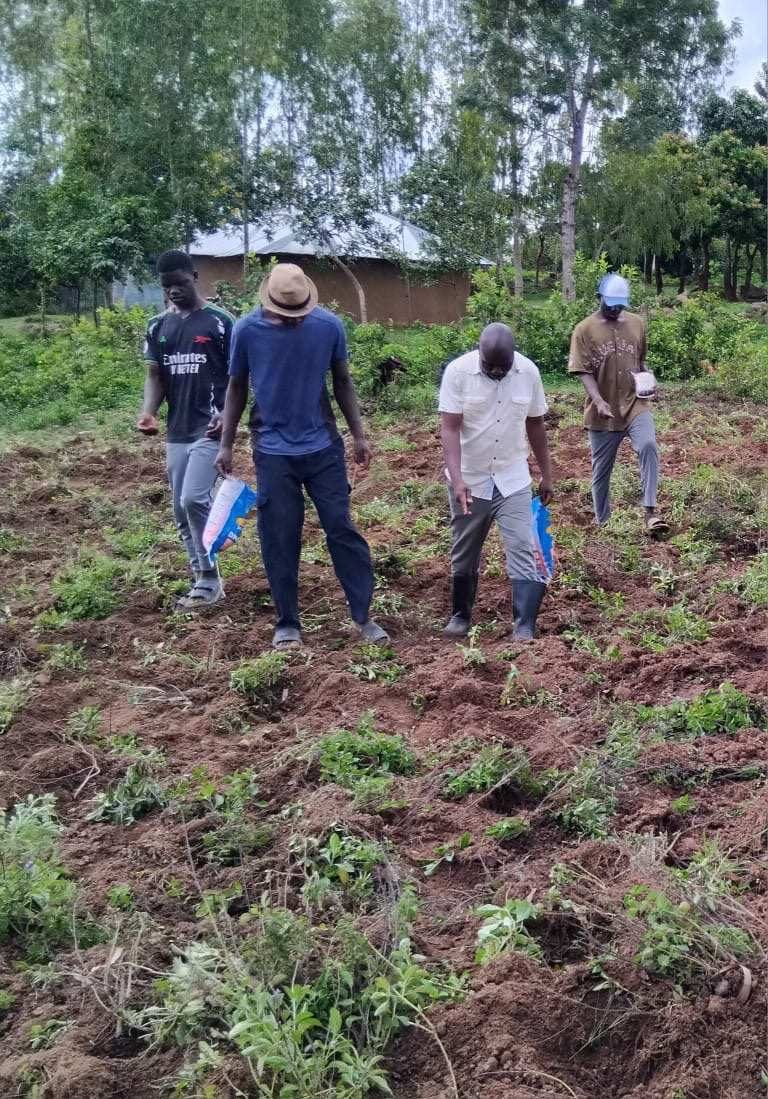Working the fields